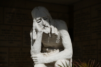 Viltrox AF 85 mm f/1.4 Pro - sample shots