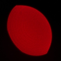 Viltrox AF 85 mm f/1.4 Pro - Coma, astigmatism and bokeh