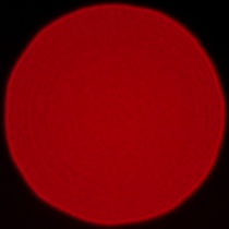 Viltrox AF 85 mm f/1.4 Pro - Coma, astigmatism and bokeh