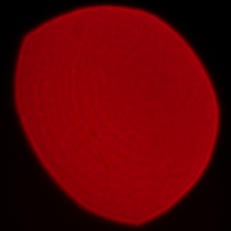 Viltrox AF 85 mm f/1.4 Pro - Coma, astigmatism and bokeh