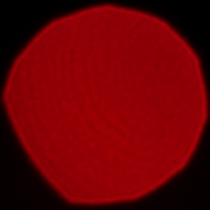 Viltrox AF 85 mm f/1.4 Pro - Coma, astigmatism and bokeh