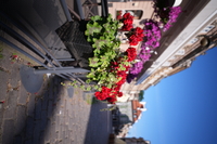 Samyang AF 14-24 mm f/2.8 FE - Sample shots