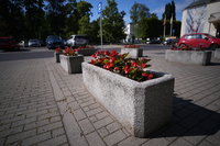 Samyang AF 14-24 mm f/2.8 FE - Sample shots