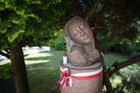 Samyang AF 14-24 mm f/2.8 FE - Sample shots