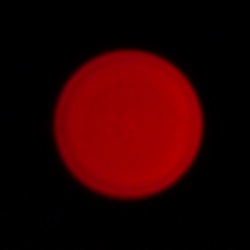 Panasonic Lumix S Pro 50 mm f/1.4 - Chromatic and spherical aberration