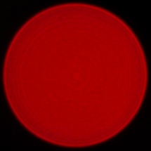 Panasonic Lumix S Pro 50 mm f/1.4 - Coma, astigmatism and bokeh