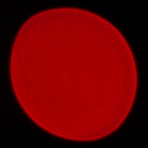 Panasonic Lumix S Pro 50 mm f/1.4 - Coma, astigmatism and bokeh