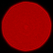 Panasonic Lumix S Pro 50 mm f/1.4 - Coma, astigmatism and bokeh