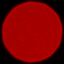 Panasonic Lumix S Pro 50 mm f/1.4 - Coma, astigmatism and bokeh