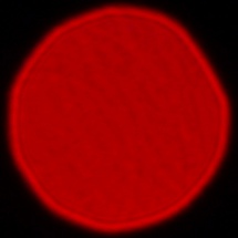 Panasonic Lumix S Pro 50 mm f/1.4 - Coma, astigmatism and bokeh