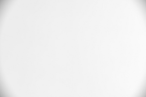 Panasonic Lumix S Pro 50 mm f/1.4 - Vignetting