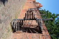 Panasonic Lumix S Pro 50 mm f/1.4 - Sample shots