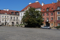 Panasonic Lumix S Pro 50 mm f/1.4 - Sample shots