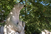 Panasonic Lumix S Pro 50 mm f/1.4 - Sample shots