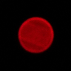 Samyang AF 14-24 mm f/2.8 FE - Chromatic and spherical aberration