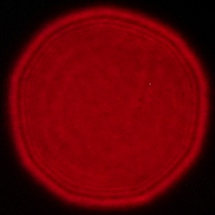 Samyang AF 14-24 mm f/2.8 FE - Coma, astigmatism and bokeh