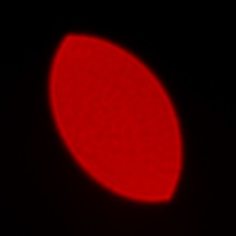 Leica APO-Summicron-SL 75 mm f/2 ASPH. - Coma, astigmatism and bokeh