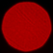 Leica APO-Summicron-SL 75 mm f/2 ASPH. - Coma, astigmatism and bokeh