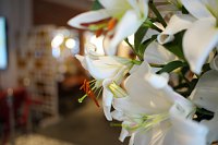 Zdjcie przykadowe nr: 7