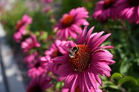 Zdjcie przykadowe nr: 9