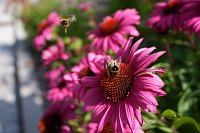 Zdjcie przykadowe nr: 10