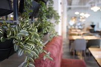 Zdjcie przykadowe nr: 12