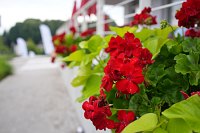 Zdjcie przykadowe nr: 25