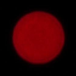 Sigma A 17-40 mm f/1.8 DC - Chromatic and spherical aberration