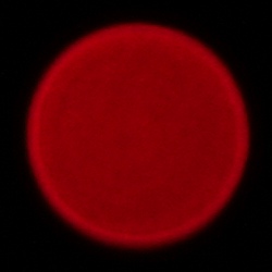 Sigma A 17-40 mm f/1.8 DC - Chromatic and spherical aberration