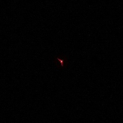 Sigma A 17-40 mm f/1.8 DC - Vignetting