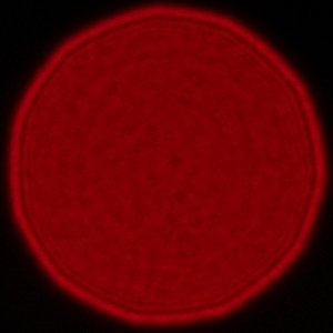 Sigma A 17-40 mm f/1.8 DC - Vignetting