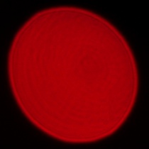 Panasonic Lumix S 50 mm f/1.8 - Coma, astigmatism and bokeh