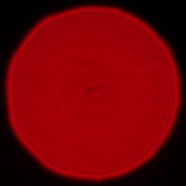 Panasonic Lumix S 50 mm f/1.8 - Coma, astigmatism and bokeh