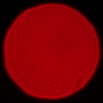 Panasonic Lumix S 50 mm f/1.8 - Coma, astigmatism and bokeh