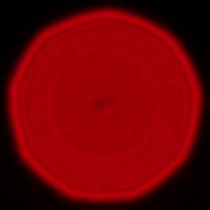 Panasonic Lumix S 50 mm f/1.8 - Coma, astigmatism and bokeh