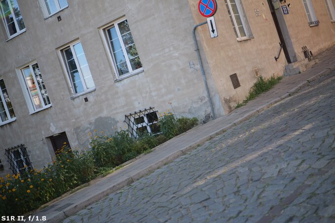 Panasonic Lumix S 50 mm f/1.8 - Ghosting and flares