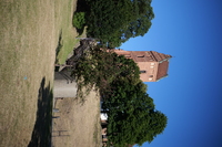 Panasonic Lumix S 50 mm f/1.8 - Sample shots