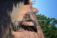 Panasonic Lumix S 50 mm f/1.8 - Sample shots