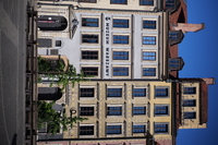 Panasonic Lumix S 50 mm f/1.8 - Sample shots