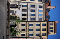 Panasonic Lumix S 50 mm f/1.8 - Sample shots