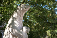 Panasonic Lumix S 50 mm f/1.8 - Sample shots