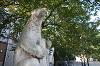 Tamron 16-30 mm f/2.8 Di III VXD G2 - Sample shots