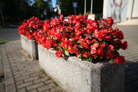 Tamron 16-30 mm f/2.8 Di III VXD G2 - Sample shots