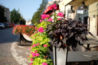 Viltrox AF 25 mm f/1.7 Air - Sample shots