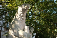 Viltrox AF 25 mm f/1.7 Air - Sample shots