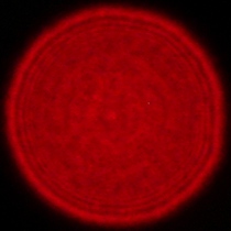 Tamron 16-30 mm f/2.8 Di III VXD G2 - Coma, astigmatism and bokeh