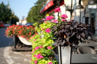 Viltrox AF 35 mm f/1.7 Air - sample shots