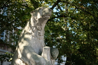 Viltrox AF 35 mm f/1.7 Air - sample shots