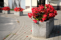 Viltrox AF 35 mm f/1.7 Air - sample shots