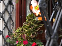 Zdjcie przykadowe nr: 5